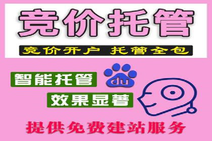 竞价广告的投放策略：XX企业成功案例解析
